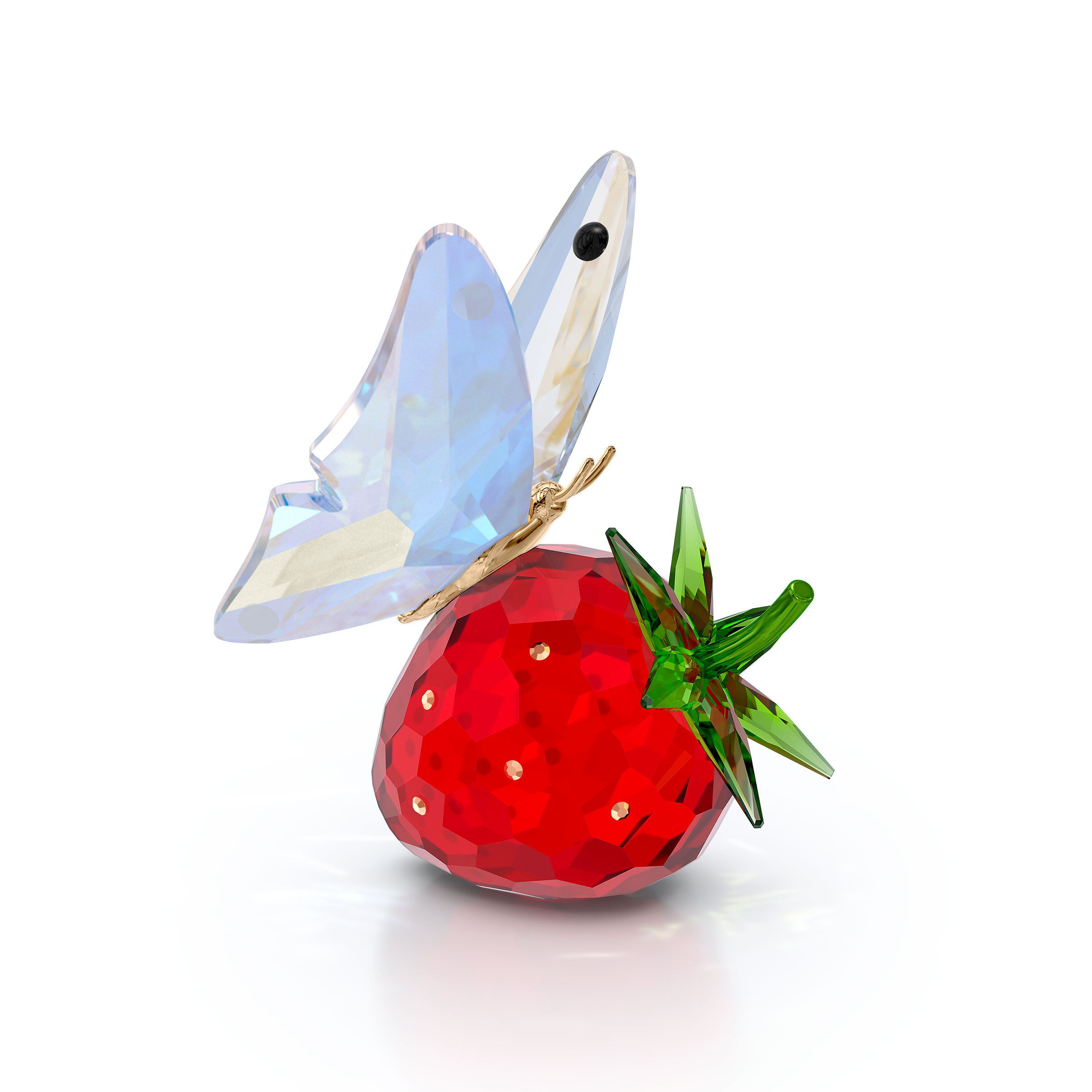 Idyllia Butterfly and Strawberry