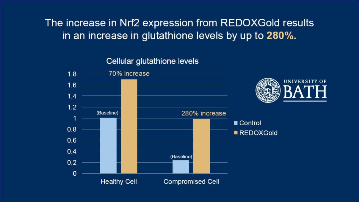Glutathione  Increase 