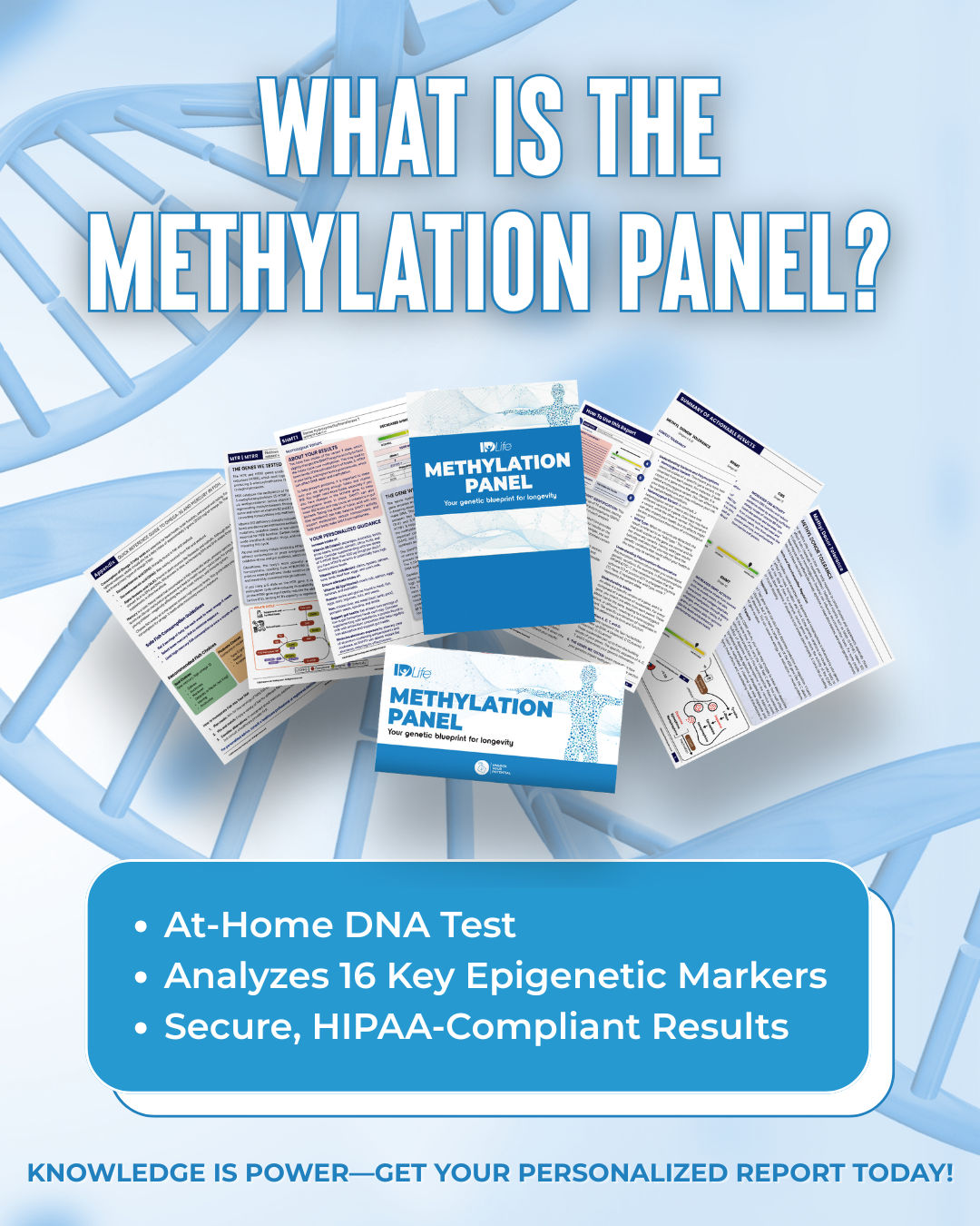 Methylation Panel I What Is The Methylation Panel?