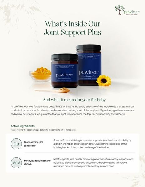 Joint Support Plus Ingredients & Their Benefits