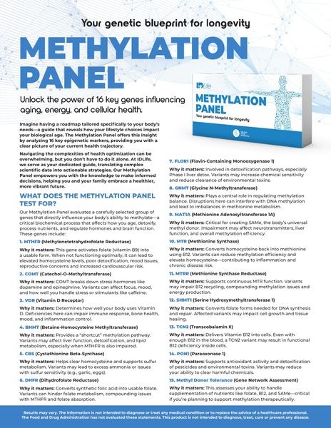 Methylation Panel I Flyer