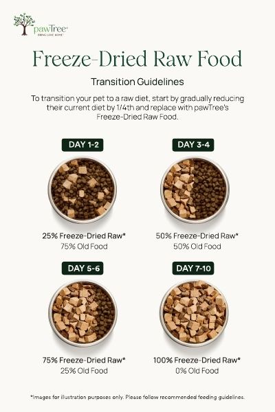 Freeze-Dried Raw Food Transition Guidelines
