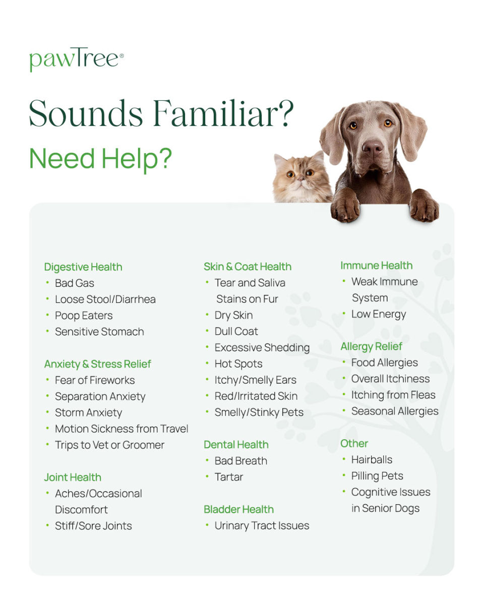 Issues List