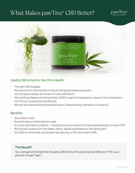 What Makes pawTree CBD Better?