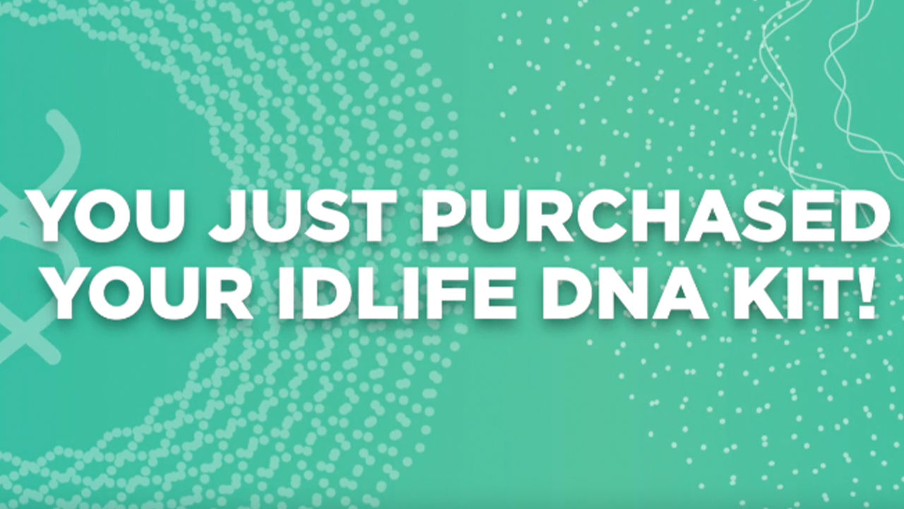 DNA I You Just Purchased Your Kit!