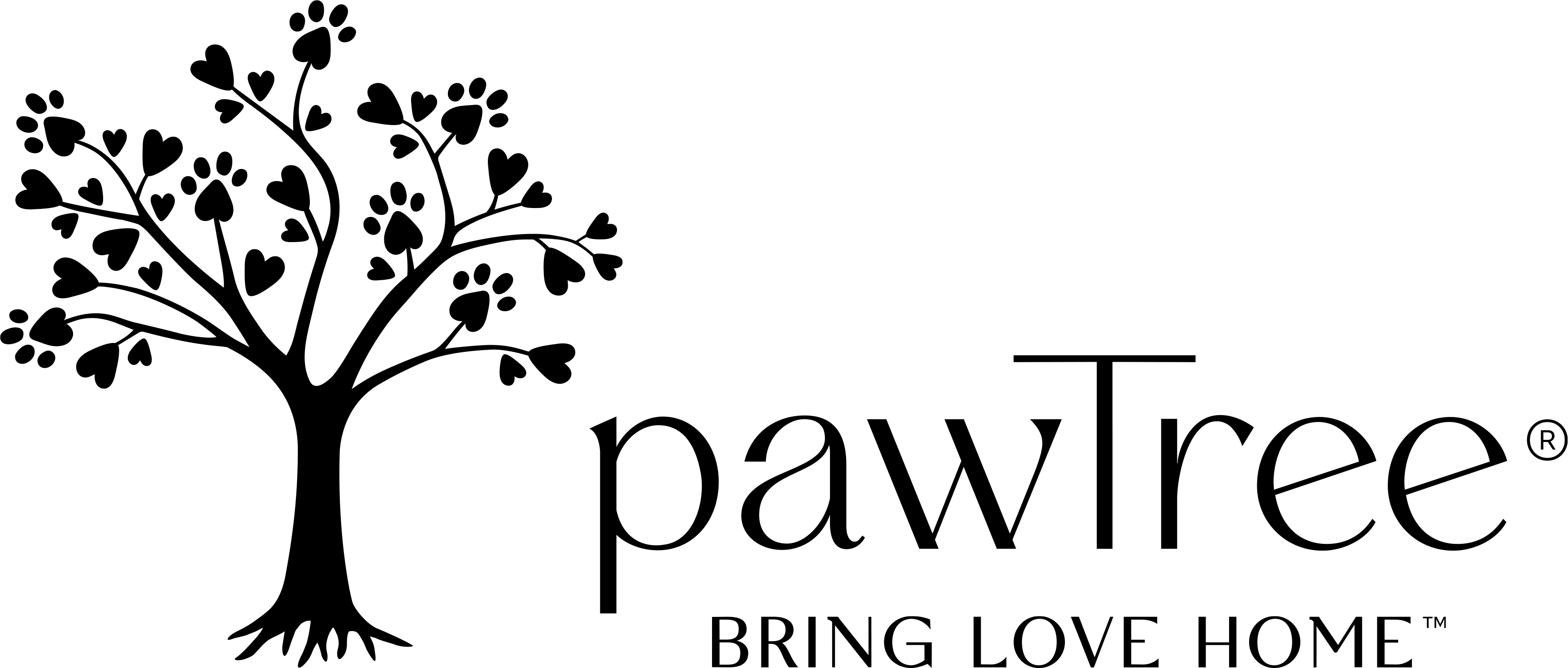 Horizontal Logo (Black)