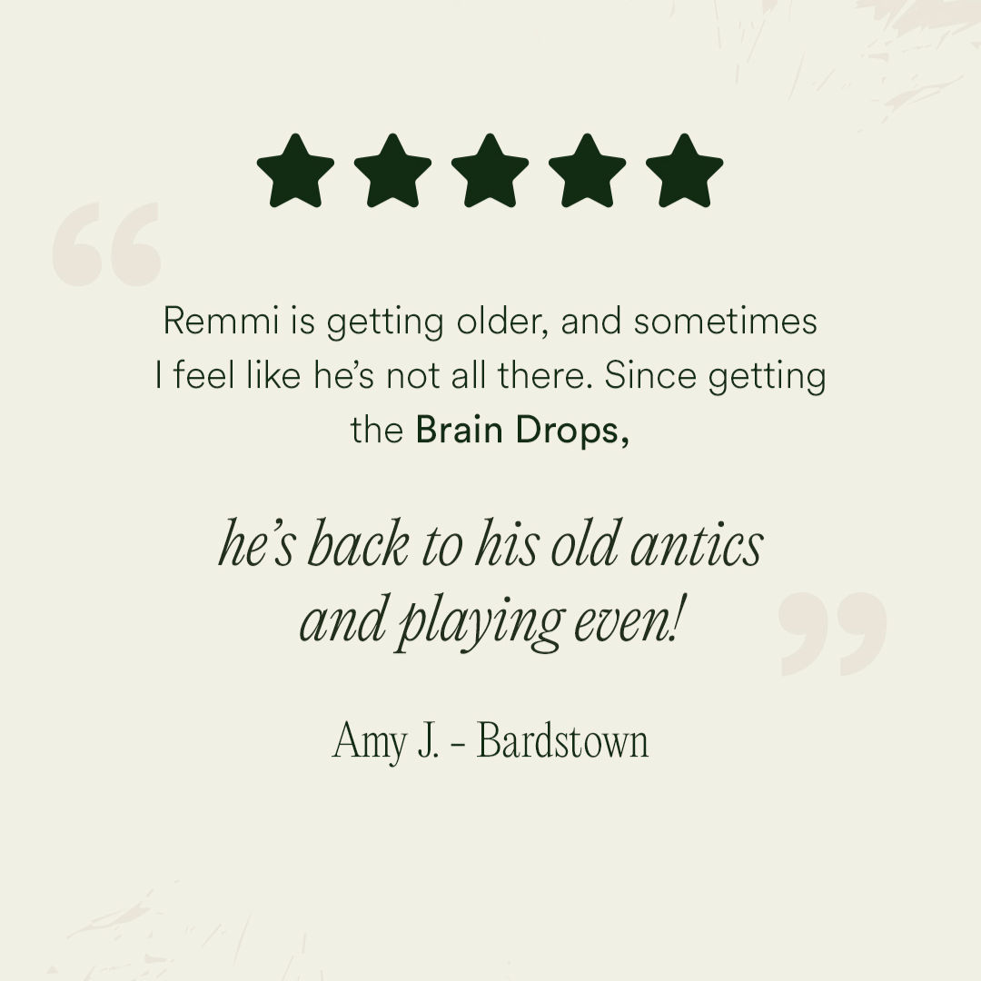 Brain Drops Testimonial