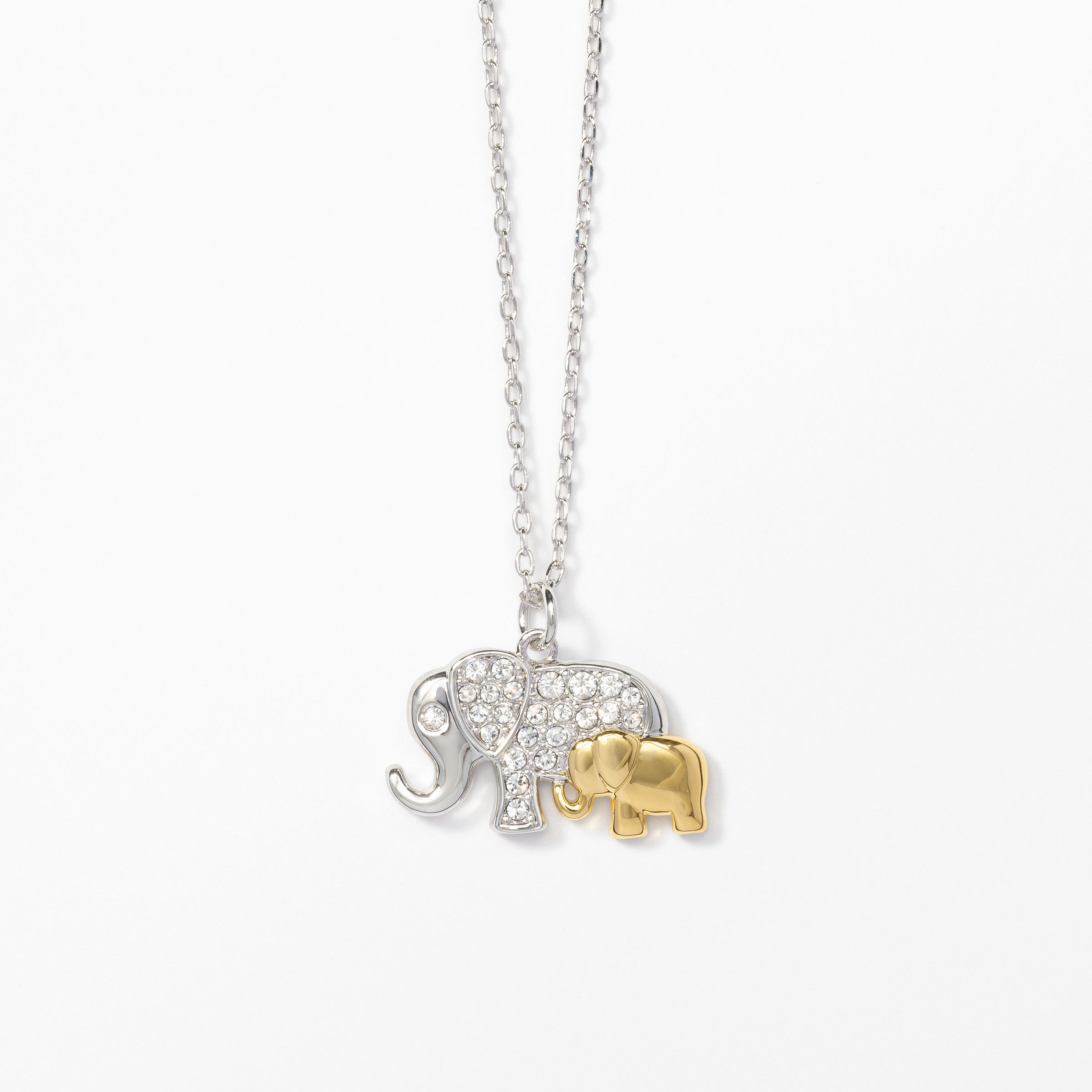 Follow Me Necklace