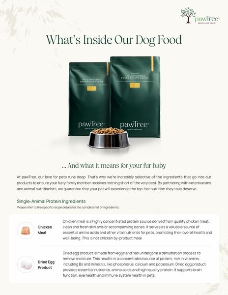 Dog Food Ingredients & Their Benefits