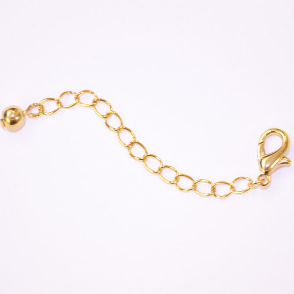 Gold Extension Chain