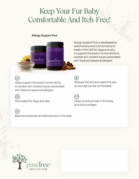 Allergy Support Plus Benefits