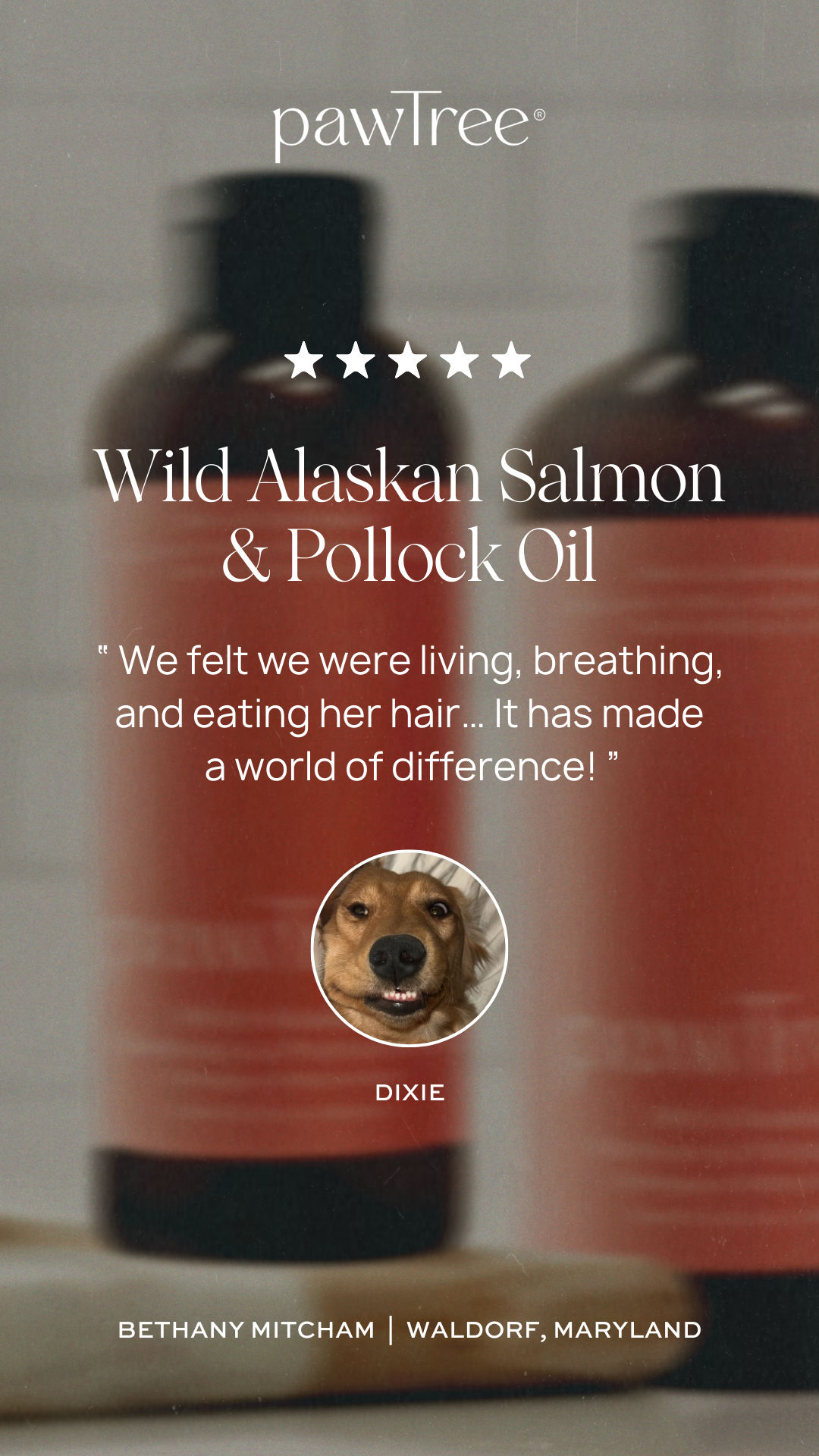Wild Alaskan Salmon & Pollock Oil Testimonial 2