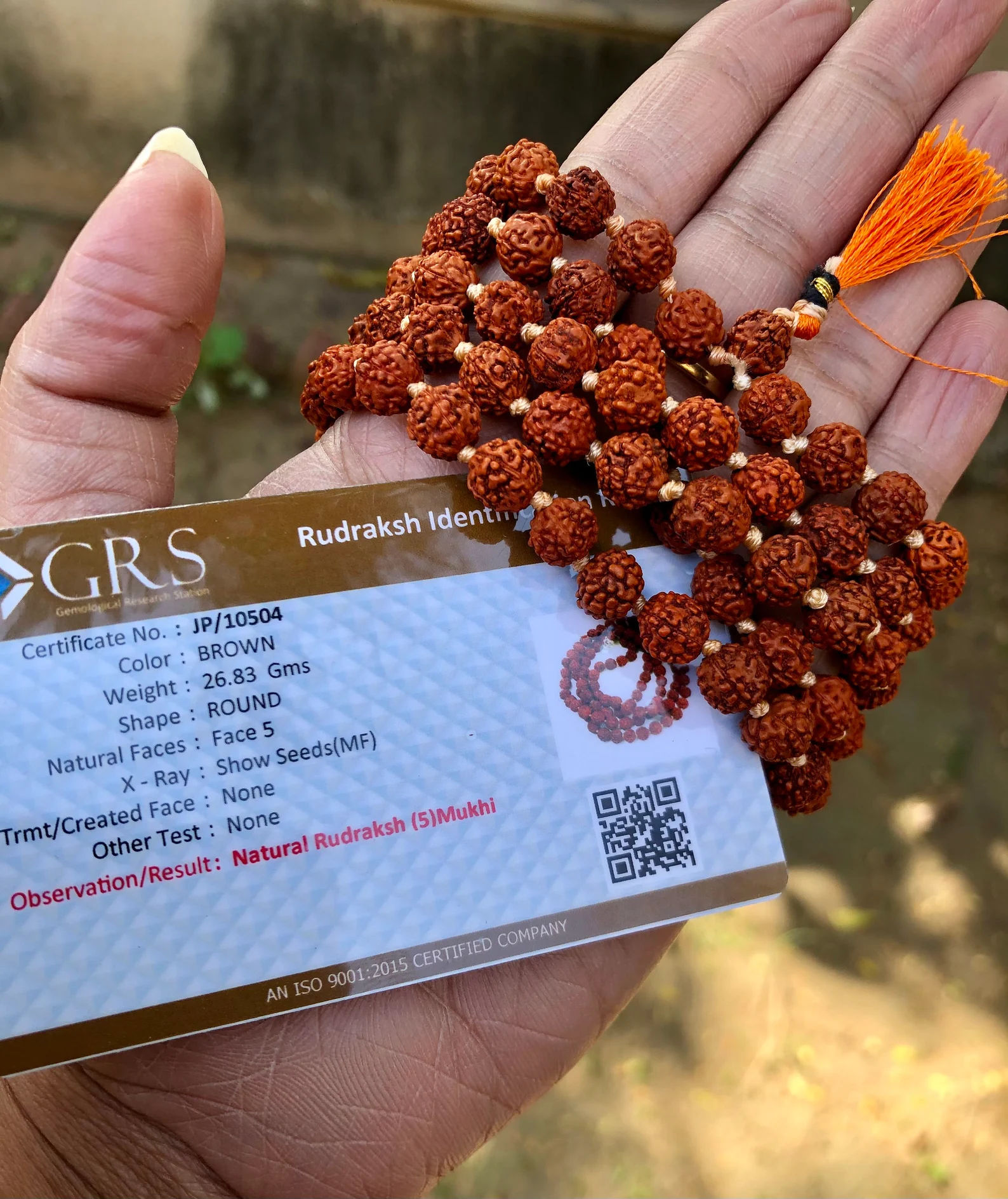 Rudraksha