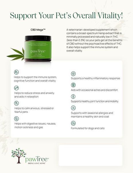 CBD Mega Benefits