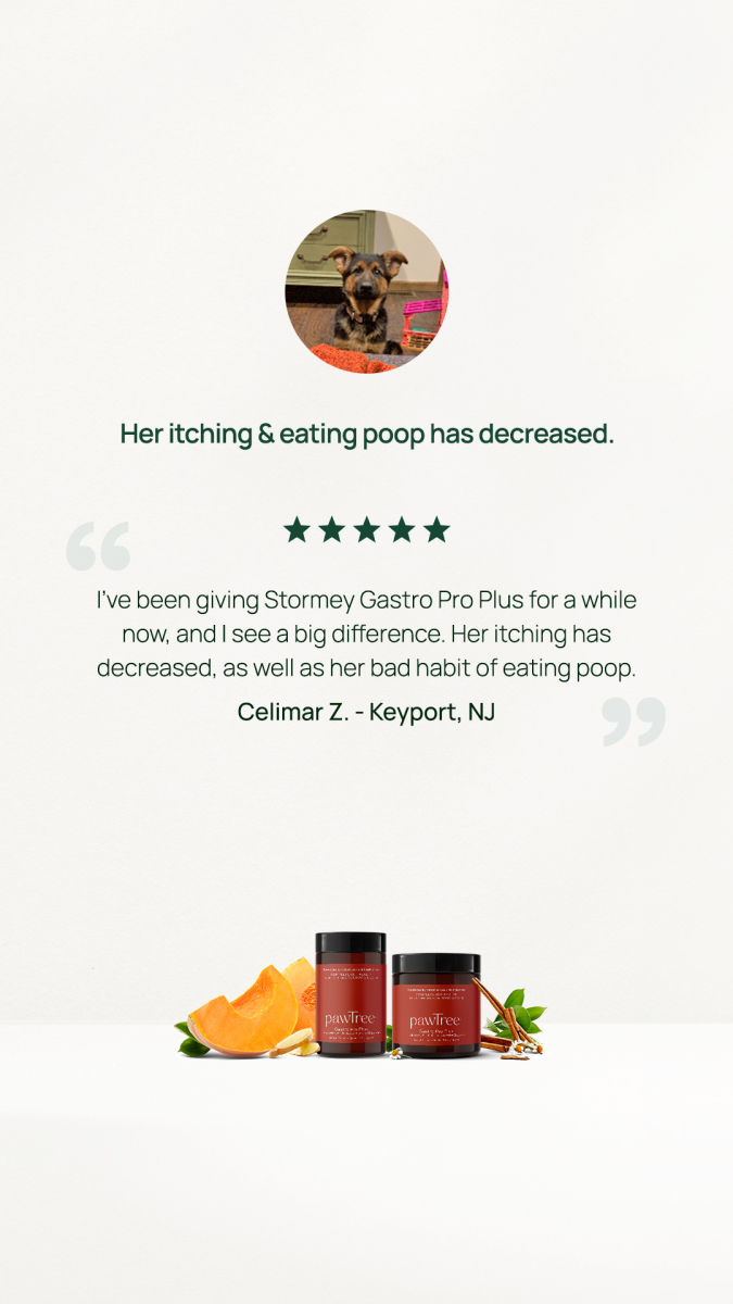 Gastro Testimonial 3 (story)