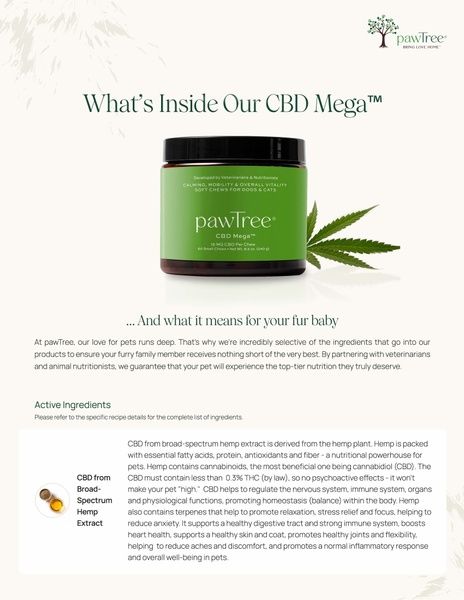 CBD Mega Ingredients & Their Benefits