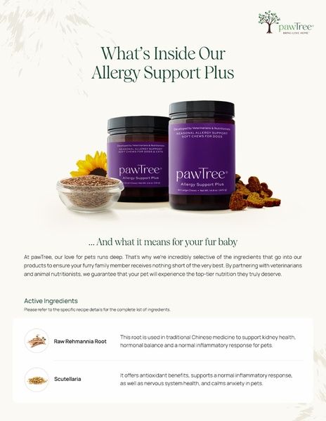 Allergy Support Plus Ingredients & Their Benefits