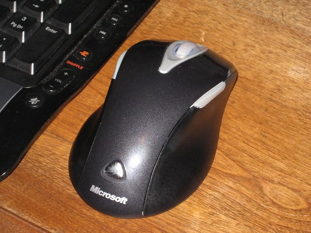 Mouse