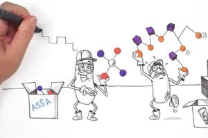 Asea Redox QuickDraw