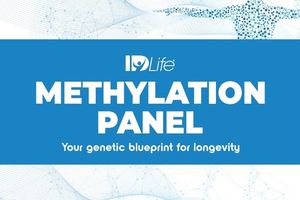 Methylation Panel I Sample Report