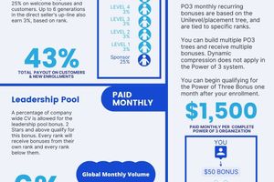 1 Page Compensation Plan