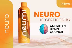 Neuro 6 Minute Overview