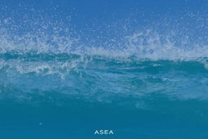Get Salty with ASEA Redox Cell Signaling Supplement