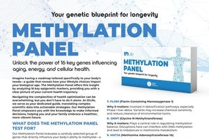 Methylation Panel I Flyer