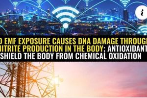 EMF, WIFI, 5G, Microwaves, Radiation damages DNA & depletes glutathione levels!