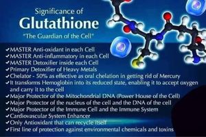 Glutathione Significance 