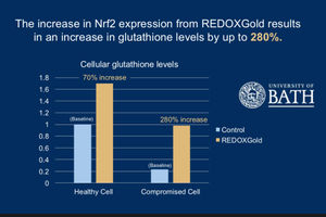 REDOX GOLD RESULTS