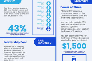 Compensation Plan Overview (1 pager)