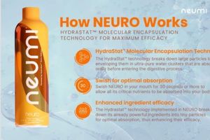 How Neuro Works 