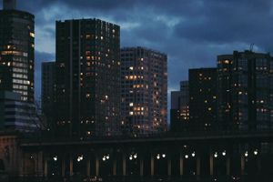 An Introduction to Neumi