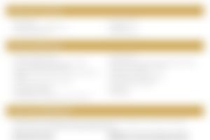 How to talk about REDOXGold Flyer US EN