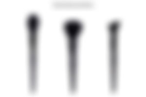 Cheek Brushes Sell Sheet