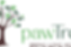 Horizontal Logo (Color)