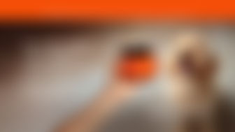10-in-1 Extended Offer Banner