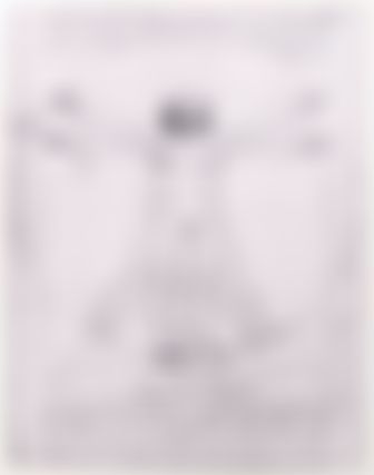 Vitruvian Man
