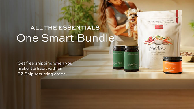 The Daily Essentials Kit - Banner