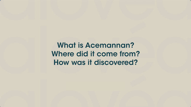 What is Acemannan? video - immun