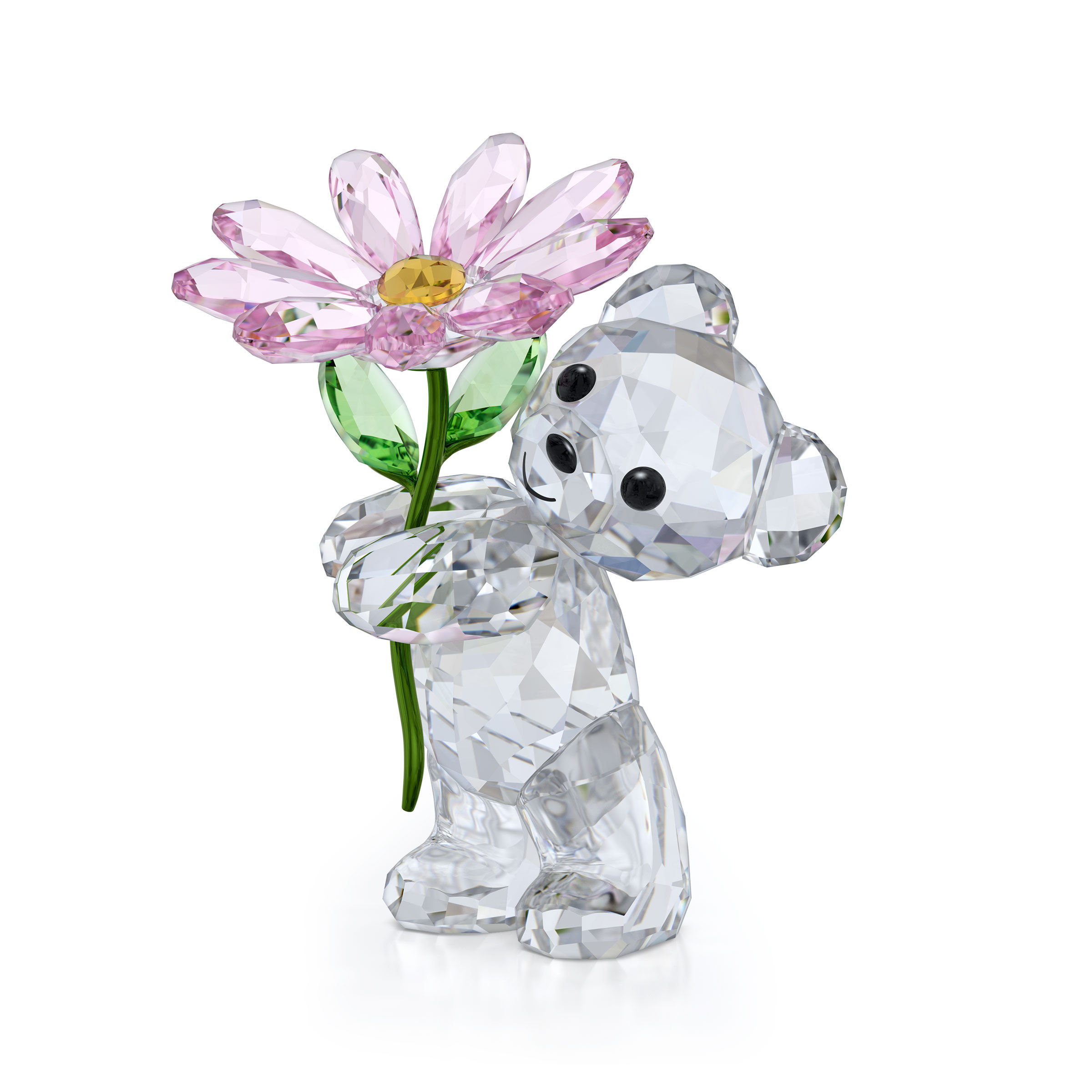 Kris Bear A Daisy for You