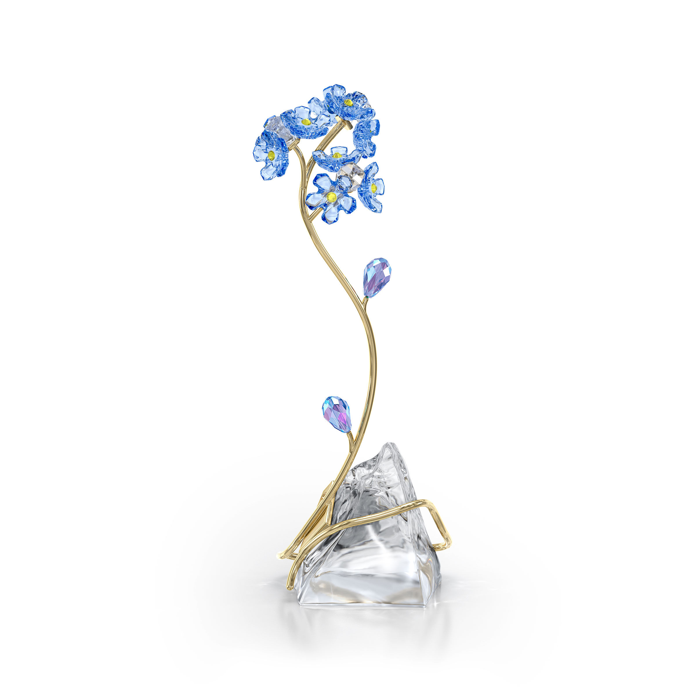 Florere Forget-me-not