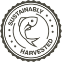 Content Image Split Flexible logo