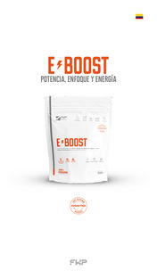 E-BOOST — view 3