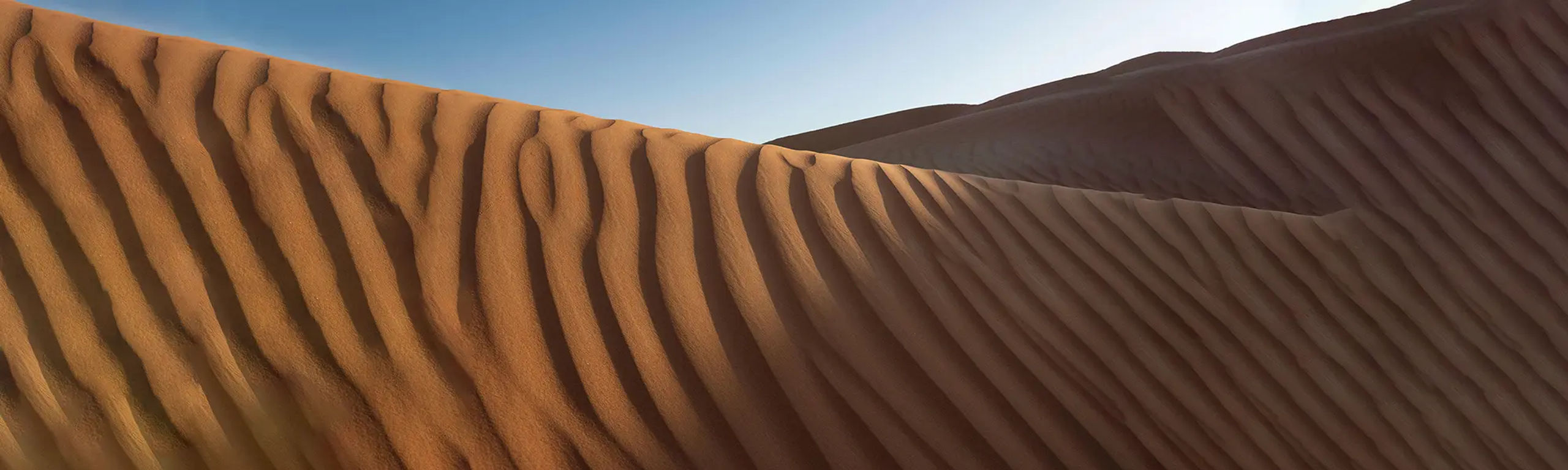 Sand dunes at sunrise