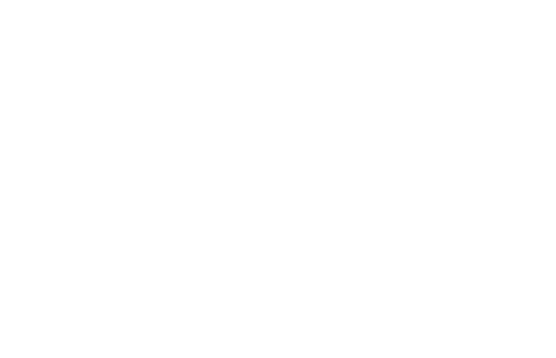 BD Global