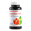 Dandelion Root — view 1