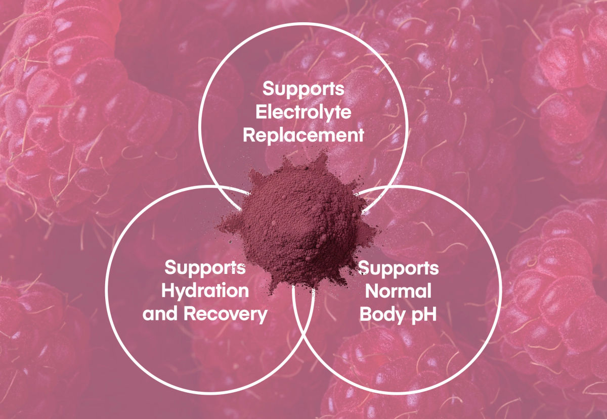 Fun Packets