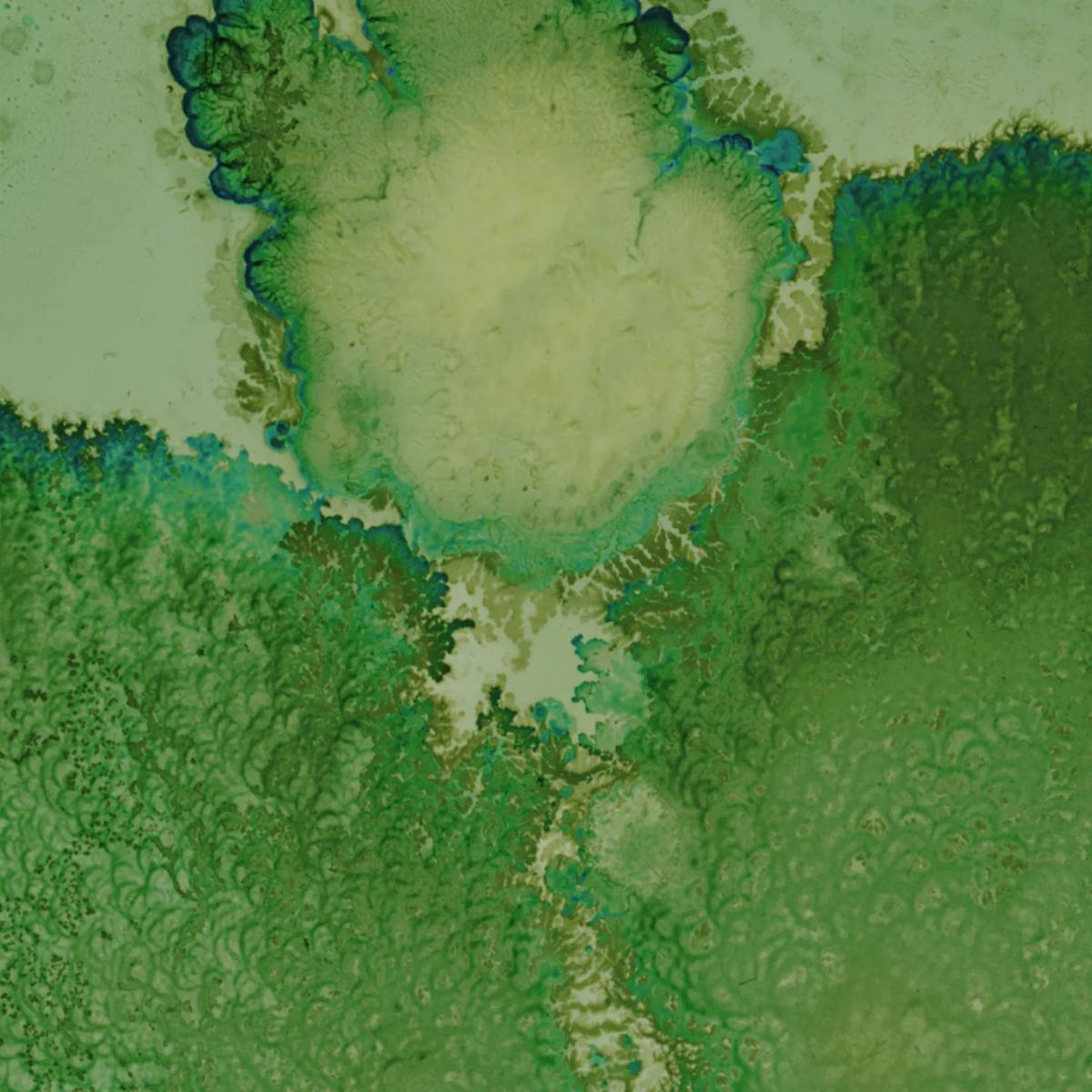 microscopy